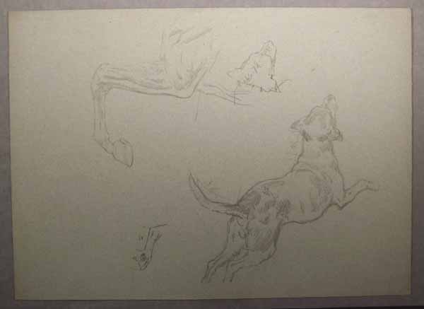 Studies of a Leaping Dog and Horse's foreleg